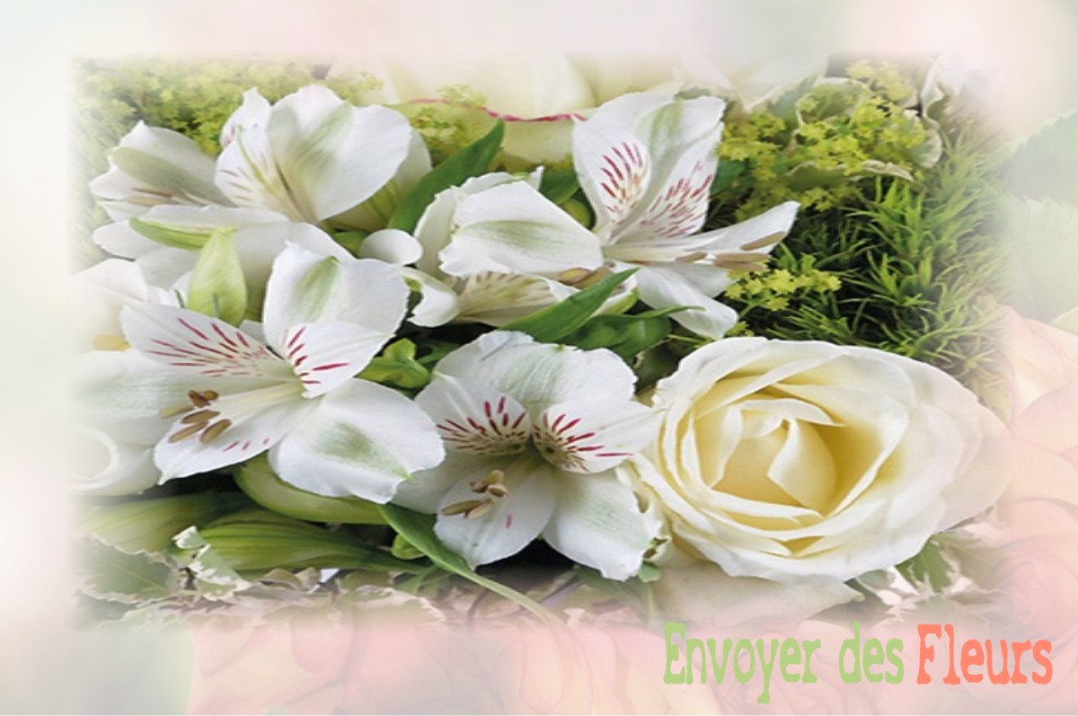 envoyer des fleurs à à FONTENAY-LE-VICOMTE